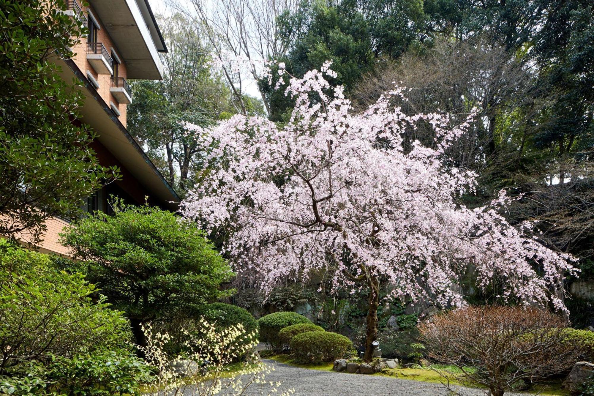 Hyatt Regency Kyoto Hotell Eksteriør bilde